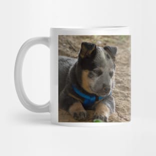 ali on guard duty Mug